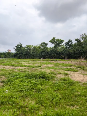 Bán 3.899m đất đô thị ở phường Phượng Sơn Bắc Ninh
Đất có sổ đỏ ,400 thổ cư,,phù hợp với XD kho cảng sông, xưởng SX và nhà máy.
Đây đủ tiện ích xq.
LH 0979733536