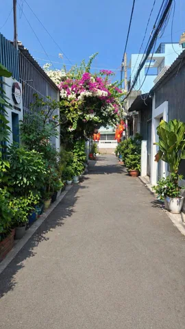 🔥 HIẾM – 4 TỶ HƠN _ 66M2 _ HXH LINH CHIỂU – NHÀ VÔ Ở NGAY🔥