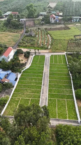 Chỉ hơn 400 TRIỆU sở hữu ngay lô đất gần KCN Thanh Hà quy mô 282ha