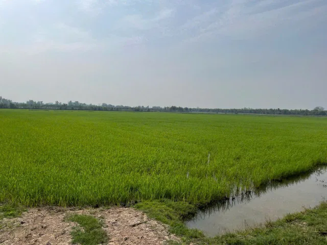 Bán đất 8528m² ngang 79.8m giá giảm sâu 8,5 tỷ TL tại Xã Hiệp Hòa, Tây Ninh (Xã Tân Phú, Đức Hòa, Long An cũ )