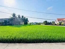 📌📌📌LÀM VIỆC TRỰC TIẾP GIÁ TỐT !!! Bán đất kiệt Huỳnh Thị Lựu, Hội An