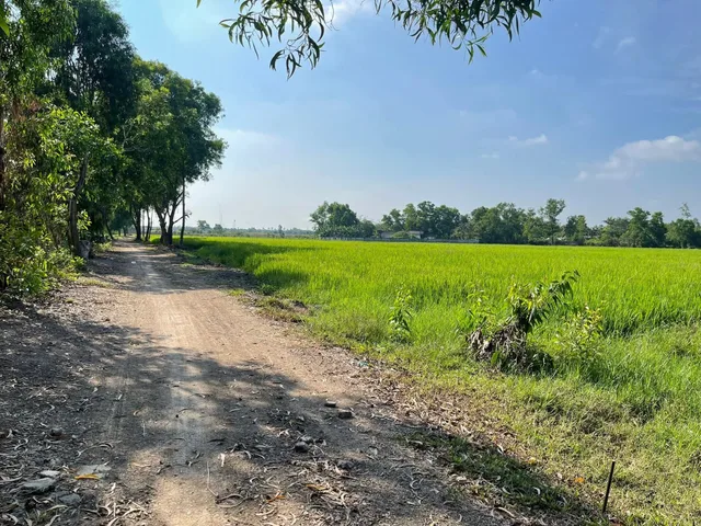 Bán đất mặt tiền đường Nguyễn Thị Ly xã Xuân Thới Sơn huyện Hóc Môn TPHCM, DT: 10670m2.