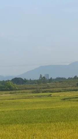 211m đất View CNC Hòa Lạc,đường 2 ôtô tránh,mà giá chỉ hơn 10tr/m,sát Tomodachi Làng Mít