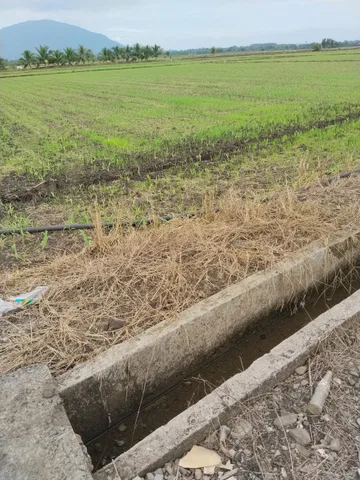 Đất ruộng lang minh