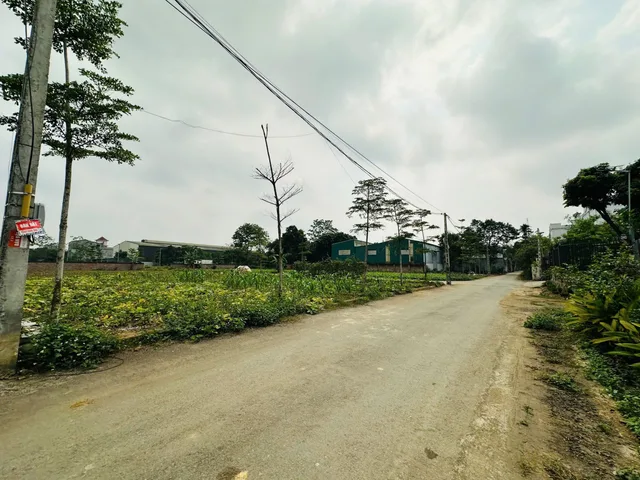 Chỉ từ 2.8 tỷ  Sở hữu lô đất gần ĐHQG Hòa Lạc, đường thông, dân ở kín.