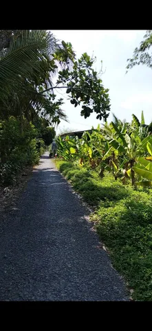 🔥 CƠ HỘI HIẾM CÓ: LÔ ĐẤT 229M2 2 MẶT TIỀN - ĐƯỜNG NHỰA - VIEW SÔNG - FULL THỔ CƯ - PHONG THỦY ĐẠI CÁT 🔥