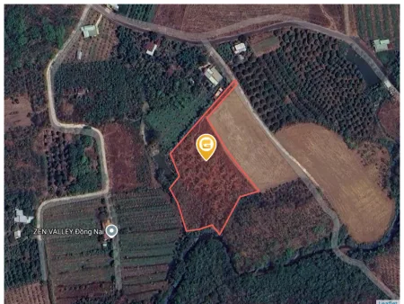 Bán nhà 8095m² có sẵn 100m² thổ cư ngang 70m giá 4.2 tỷ tại Xã Lộc Thành