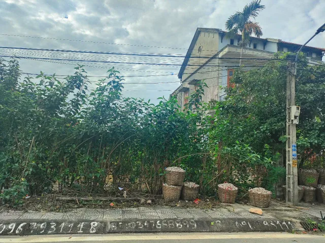 BÁN ĐẤT THÔN 4,HOÀNG TÂN,QUẢNG YÊN