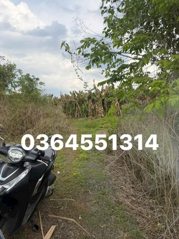 1 sào 16m đường đất