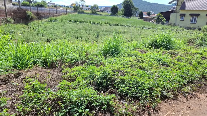 CẦN BÁN GẤP LÔ ĐẤT MẶT TIỀN HẺM NHỰA XÃ HIỆP THẠNH (XÃ HIỆP AN, ĐỨC TRỌNG CŨ) TỈNH LÂM ĐỒNG) 🚛🚘