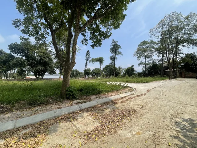 LÔ GÓC 2 MẶT TIỀN CẠNH KHU CÔNG NGHIỆP LƯƠNG SƠN