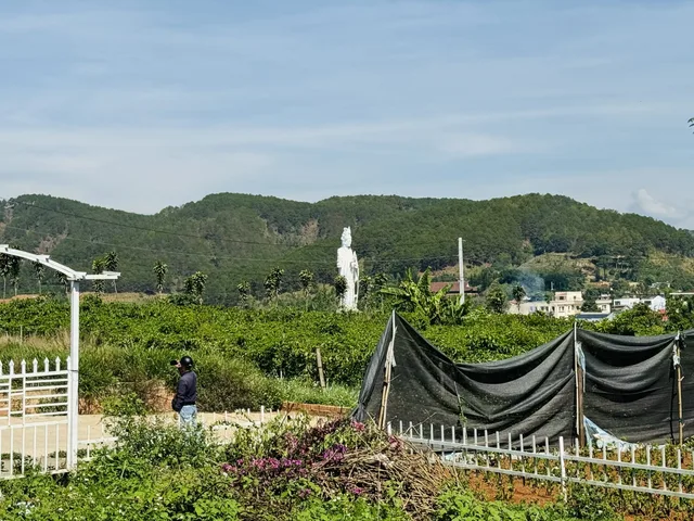 Đất View Trực diện về hướng Mẹ Quan Âm ngay trung tâm thị trấn Nam Ban. GIá 1.45 tỷ