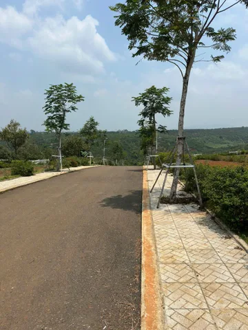 Đất di linh giá mềm – đón sóng quy hoạch, đầu tư cực đẹp