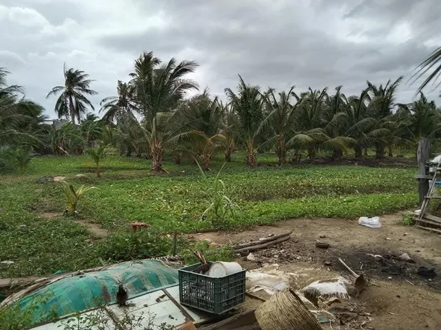 Bán đất 2750m² ngang 50m giá 2.75 tỷ tại Đường Trường Chinh Phường Ninh Chử