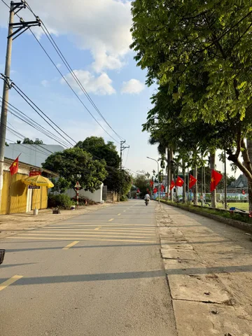 Bán đất tại trục chính Đồng Trạng, 30 triệu / m2, giá đầu tư