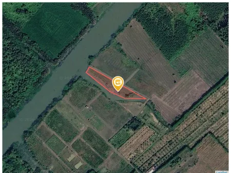 Bán đất 2166m² ngang 43m giá 4.12 tỷ tại Đường Phạm Thái Bường Xã Đại Phước