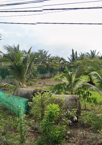 Bán đất 1000m² ngang 16m giá 6.5 tỷ tại Đường Lương Ngang Xã Bình Lợi