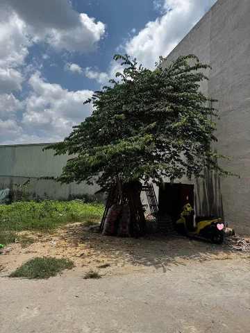 BÁN ĐẤT THỔ CƯ 83M² (5.2x16) HẺM XE TẢI CÂY CÁM, NGAY BẾN LỘI, QL1A, MÃ LÒ, CHỈ HƠN 3TỶ
