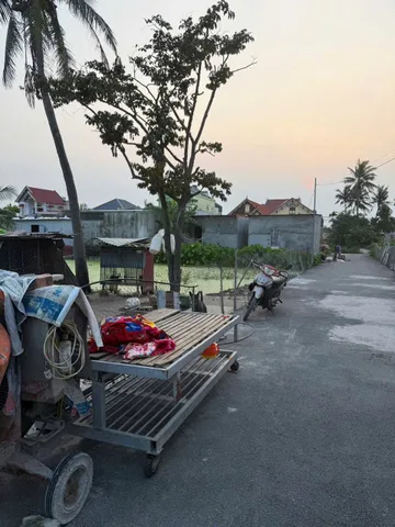 4KH84.6 🌳 SIÊU PHẨM NHÀ VƯỜN TÂN PHONG – 3 MẶT THOÁNG – GIÁ CỰC HỢP LÝ 🌳