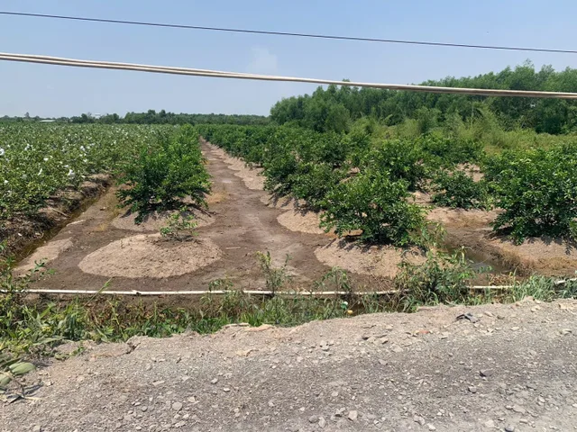 Bán 5,384m2 mặt tiền đường ôtô
