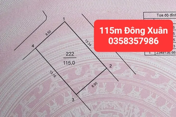 Bán đất 115m² full thổ cư ngang 8.5m giá 3.38 tỷ tại Xã Sóc Sơn