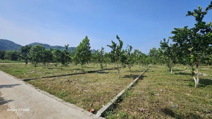 🏡 ĐẤT ĐẸP BẢO HIỆU – YÊN THỦY – HÒA BÌNH