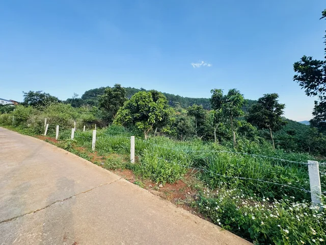 Mảnh vườn gần 1.5 Sào. Sẵn vườn cây ăn trái. chỉ 3km tới địa phận Đà Lat. Hợp làm nhà vườn. Giá 2.65 Tỷ