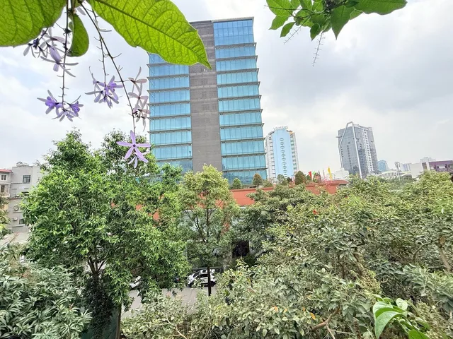 🌸🌸🌸CỰC HIẾM- CẢ PHỐ 1 NHÀ BÁN-4 TẦNG 3 NGỦ-2 THOÁNG- VỪA Ở VỪA KINH DOANH🌸🌸🌸