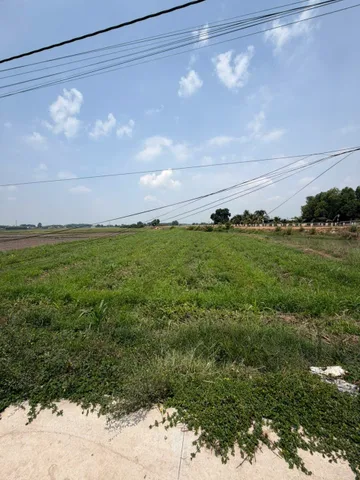 [CHÍNH CHỦ] CẦN RA CẶP ĐẤT LÚA ĐẸP - TRẢNG BÀNG, TÂY NINH