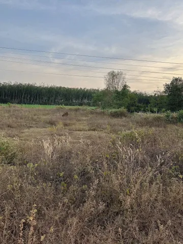 ĐẤT TÂY NINH GIÁ CHỈ 600TR - 376m2, Sổ Riêng giá MỀN ĐỂ ĐẦU TƯ🥰