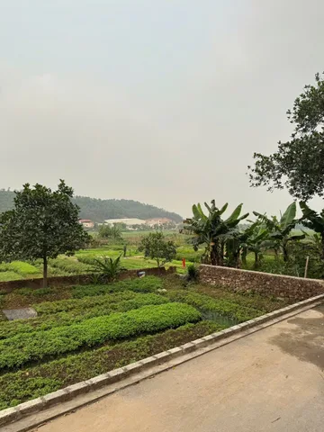 Bán lô thổ cư đất rộng rẻ hơn thị trường ở lãm trại