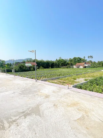 🔥 ĐẤT ĐẸP PHƯỜNG KIM TRÀ – GIÁ TỐT, TIỀM NĂNG TĂNG GIÁ 🔥