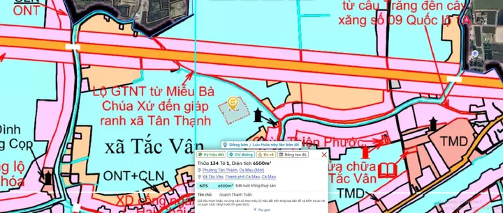 Bán đất 6500m² ngang 90m giá 975 triệu tại Phường Tân Thành