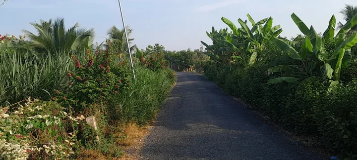 Bán đất 1209.6m² có sẵn 300m² thổ cư ngang 18.68m giá 1.6 tỷ tại Đường Nhựa Xã Ngãi Tứ