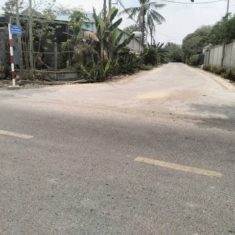 Bán nhà vườn 1/ngắn đường Sông Lu xã Trung An Củ Chi TPHCM, DT: 27x42m.