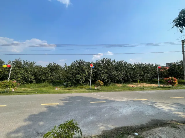 Đất TPHCM mặt tiền đường nhựa diện tích 250m2 giá dưới 1 tỷ