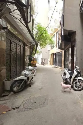Là thành, 44m x 5tầng x Mt 3.5, lô góc, kinh doanh đa ngành, ngõ thông thoáng