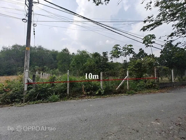 Bán đất thổ cư mặt tiền nhựa 1/ngắn đường Tỉnh Lộ 15 xã Phú Hòa Đông Củ Chi TPHCM, DT: 10x51m.