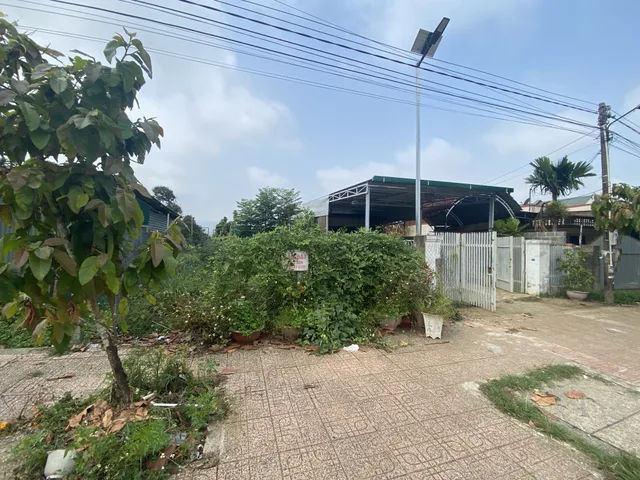 Mặt tiền hẻm 206 Huỳnh Thúc Kháng