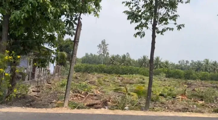 Đất full thổ 258m2 (6x43) MT nhựa ấp 10, Lương Hoà, Bến Lức, Long An, có 2 nền liền kề