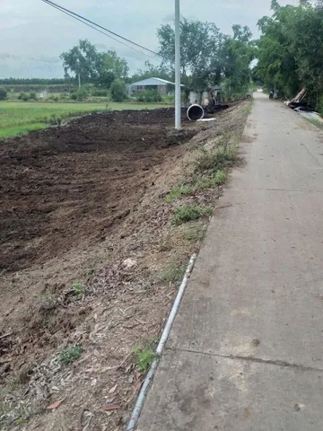 1hecta đường Tuyến Bốn,xã Tân Phước 3,Đồng Tháp