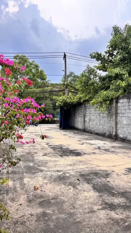 bán kho xưởng sổ hồng 2 mặt tiền đường kênh a giao trần văn giàu đang có sẵn hợp đồng thuê