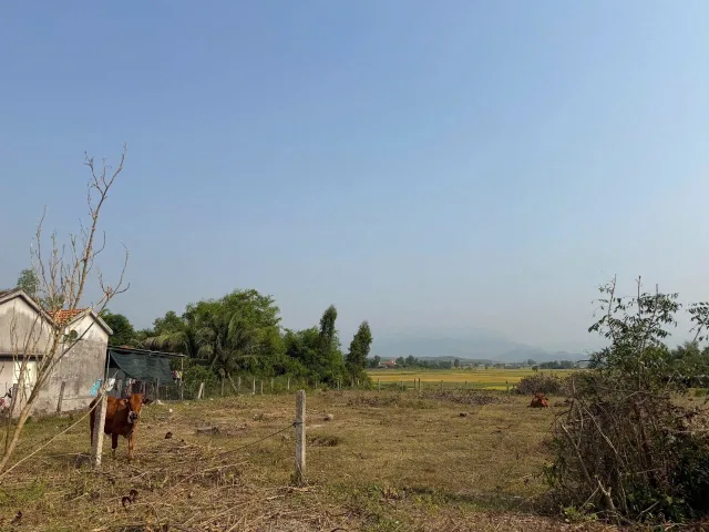 0938113403 Bán đất 151m² ngang 5m giá 250 triệu tại Xã Hòa Trí Z548