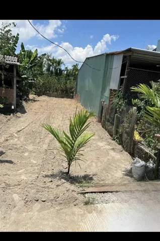 Bán đất 115m² full thổ cư ngang 5m giá 580 triệu tại Xã Nghĩa Giang
