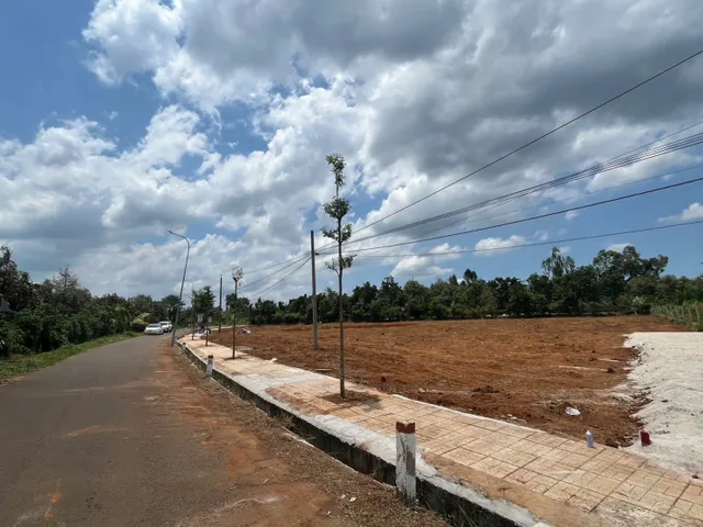 Đất thổ vườn Láng Lớn-Xà Bang