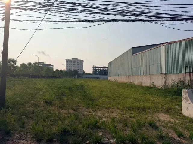 2000m2 đất FULL SKC đường container, đối diện Eco Park, Thanh Phú, Bến Lức, Long An