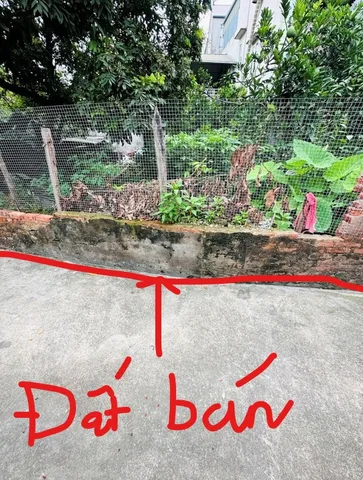 BÁN ĐẤT ĐẸP CỔ BI, GIA LÂM - CHỈ HƠN 3 TỈ, VỪA KHUÔN TIỀN - MUA XÂY NHÀ Ở HAY ĐẦU TƯ ĐỀU ỔN.