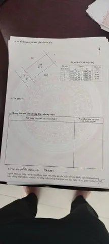 Bán đất 48m² full thổ cư ngang 4,5m giá 1.88 tỷ tại Thôn Lại Trạch - Việt Yên