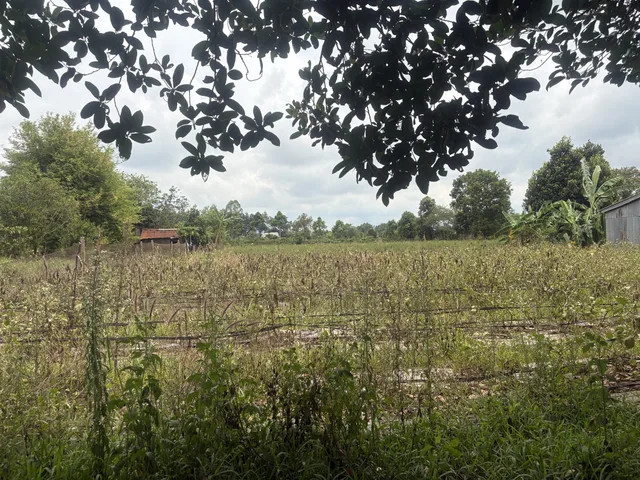 🌍 Hơn 3.500m2 Đất làng Ring Ral,