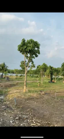 Bán đất 28600m² ngang 10m giá 8.5 tỷ tại Xã Xuân Thành